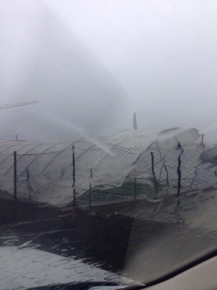 Torna il maltempo, Arpal emana il "livello di attenzione" per piogge Torna il maltempo, Arpal emana il "livello di attenzione" per piogge