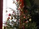 L'associazione dei consumatori "Voglio Vivere" chiede a Ikea di risarcire chi ha comprato l'albero di Natale