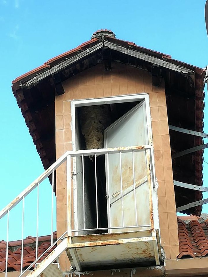 Foto tratte dalla Pagina Facebook “Val Maremola: Diamo nuova vita a ciò che non ci serve più” Foto tratte dalla Pagina Facebook “Val Maremola: Diamo nuova vita a ciò che non ci serve più”