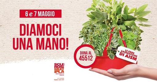 Dal 29 maggio al 6 giugno si accendono i riflettori della Settimana Nazionale della sclerosi multipla Dal 29 maggio al 6 giugno si accendono i riflettori della Settimana Nazionale della sclerosi multipla