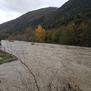 Albenga, nuovo argine del torrente Arroscia: approvato il progetto definitivo