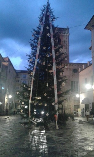 Tanti eventi sotto l'albero ad Albenga Tanti eventi sotto l'albero ad Albenga