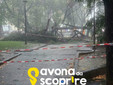 Foto pagina Facebook "Savona da Scoprire" Foto pagina Facebook "Savona da Scoprire"