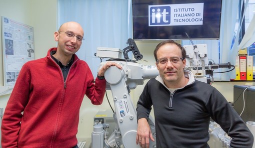 Istituto Italiano di Tecnologia: 17 milioni per la robotica industriale