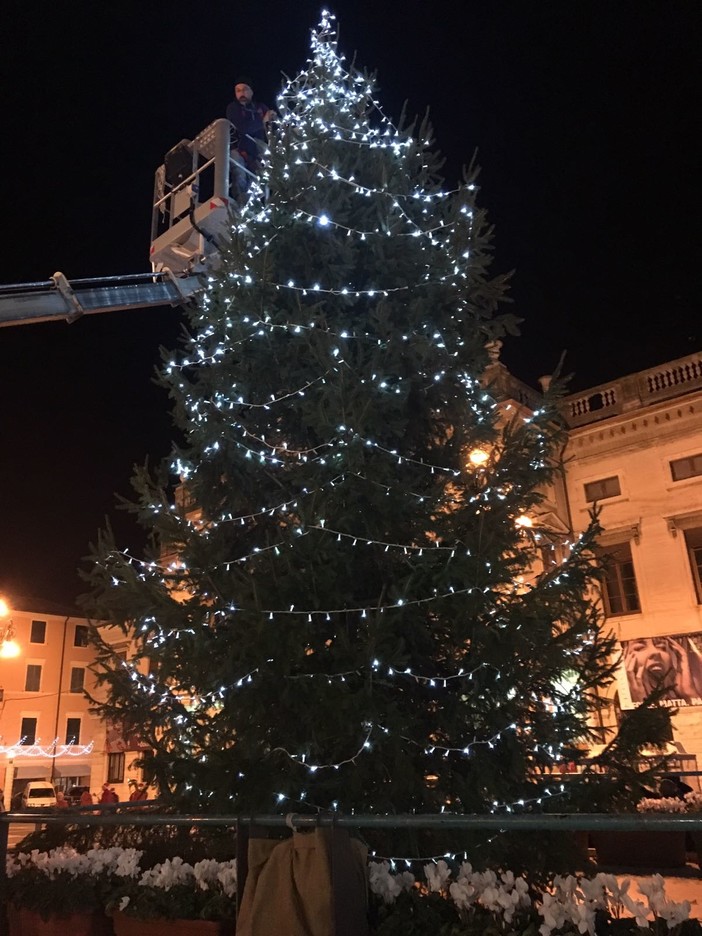 Savona si illumina: acceso l'albero di Natale in piazza Sisto