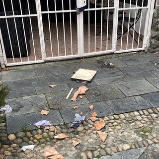 Albisola, distrutta la piastrella in ceramica della gelateria Ara Macao. Il titolare: "Farò presente di installare nuove telecamere nella via"