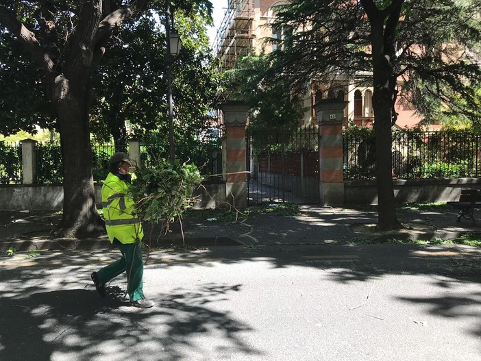 Forti raffiche di vento ad Albenga: danni alle serre e disagi in città Forti raffiche di vento ad Albenga: danni alle serre e disagi in città
