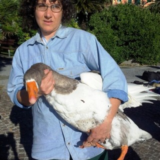 Anche gli animali hanno subito i danni dell'"Alluvione"