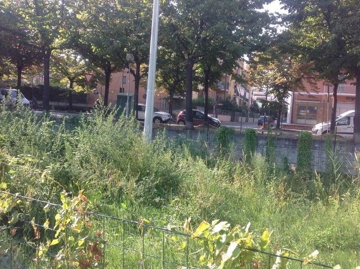 Albenga, area canina in viale 8 Marzo. La Lega Nord: "Il sindaco mantenga gli impegni assunti" (FOTO) Albenga, area canina in viale 8 Marzo. La Lega Nord: "Il sindaco mantenga gli impegni assunti" (FOTO)