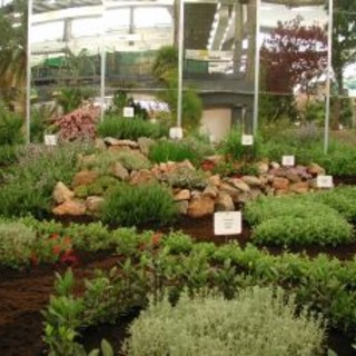 Concerti, sagre, eventi e molto altro nel weekend in Provincia di Savona