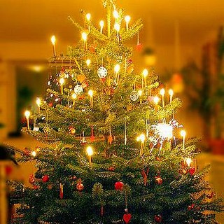 Albenga, un Natale ricco di eventi nel Rione di Sant'Eulalia