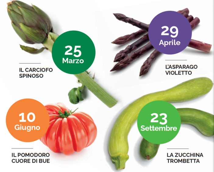 "Albenga in tavola", sabato 25 marzo lo show cooking dedicato al carciofo spinoso "Albenga in tavola", sabato 25 marzo lo show cooking dedicato al carciofo spinoso