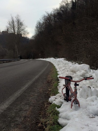Continua l'abbandono dei rifiuti, l'assessore di Dego Zunino sbotta:"Complimenti... e poi si pretende una riduzione della Tari?"