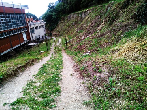 Un "patrimonio verde" da oltre dodicimila metri quadri attorno alle scuole "Aycardi-Ghiglieri" di Finale Ligure (FOTO e VIDEO)