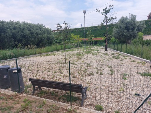 Albisola, tutto pronto per l'inaugurazione della nuova area canina in via Mariconi Albisola, tutto pronto per l'inaugurazione della nuova area canina in via Mariconi