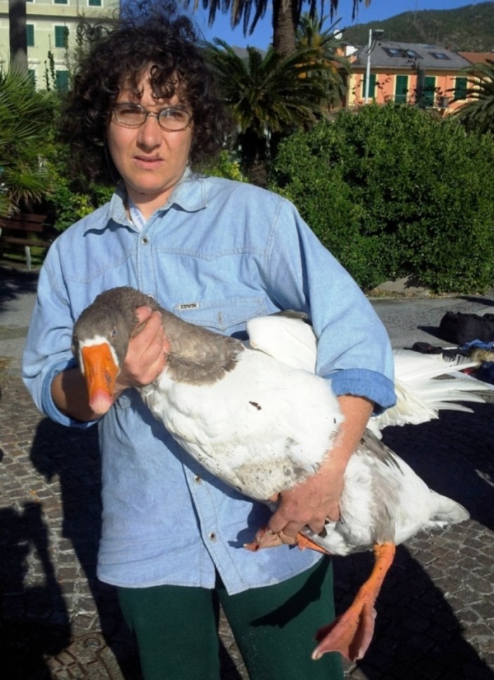 Anche gli animali hanno subito i danni dell'"Alluvione"