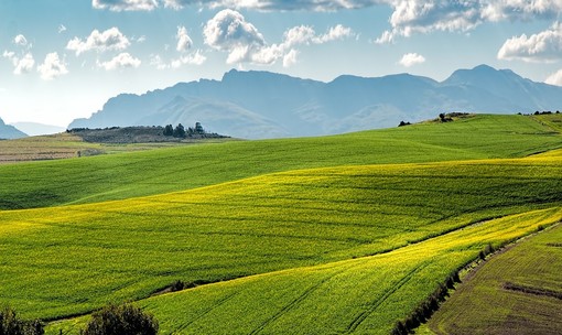 Agricoltura, Regione Liguria apre una nuova finestra fino al 23 settembre per due bandi da oltre 24,4 milioni Agricoltura, Regione Liguria apre una nuova finestra fino al 23 settembre per due bandi da oltre 24,4 milioni