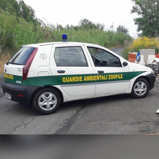 Cairo, via a un nuovo corso per Guardie Ambientali Zoofile Volontarie