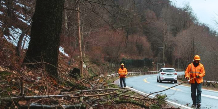 Calizzano, alberi e rami sulle strade causa neve: il Comune invita i proprietari terrieri a intervenire
