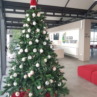 A Spotorno il Natale inizia oggi: tanti eventi per bambini e parcheggi gratuiti fino al 7 gennaio A Spotorno il Natale inizia oggi: tanti eventi per bambini e parcheggi gratuiti fino al 7 gennaio