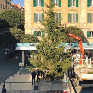 Savona, domani la benedizione del Presepe e l'accensione dell'Albero di Natale