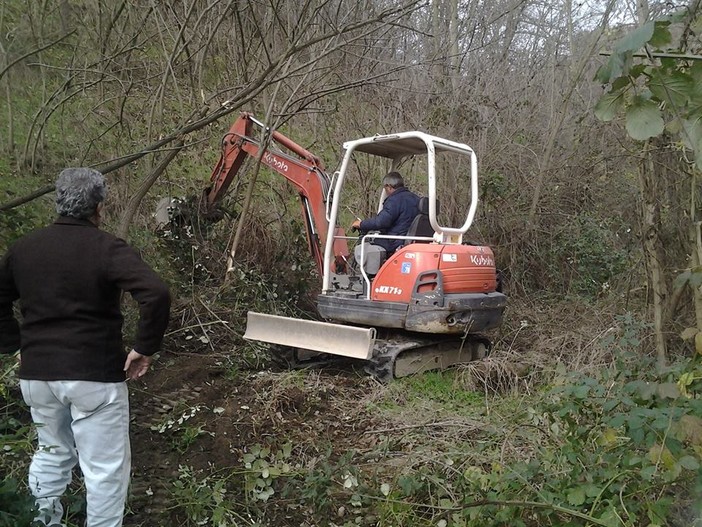 Modifica alla legge di stabilità per i danni agricoli. La CIA: "Esprimiamo soddisfazione"