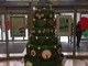 Albenga, inaugurato alla galleria commerciale "Le Serre" l'albero di Natale realizzato dagli allievi dell’Ente di Formazione professionale Elfo Albenga, inaugurato alla galleria commerciale "Le Serre" l'albero di Natale realizzato dagli allievi dell’Ente di Formazione professionale Elfo