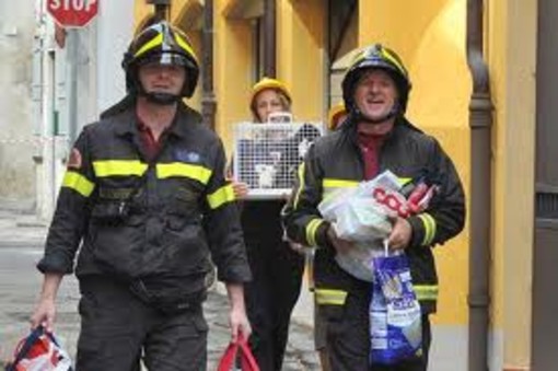 Un "Aiuto per gli animali terremotati" con NoiAnimali Savona Onlus Un "Aiuto per gli animali terremotati" con NoiAnimali Savona Onlus