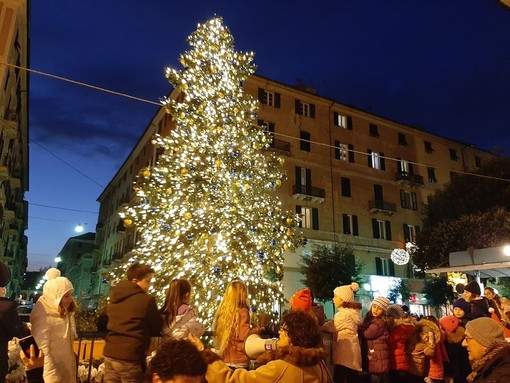 Savona, in occasione delle festività natalizie ritorna l'albero addobbato &quot;sostenibile&quot;