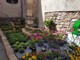 Ad Albenga una "Passeggiata e chiacchierata floreale" organizzata dal FAI Giovani