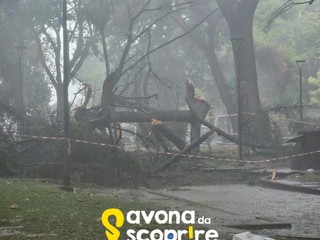 Foto pagina Facebook "Savona da Scoprire"