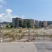 Albisola, si va verso la partenza dei lavori nelle aree ex S.Pietro. Il Sindaco: "Siamo arrivati al dunque" Albisola, si va verso la partenza dei lavori nelle aree ex S.Pietro. Il Sindaco: "Siamo arrivati al dunque"