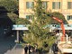 Savona, arrivato l'albero di Natale in piazza Sisto IV (FOTONOTIZIA)