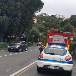 Ramo pericolante a Celle nei pressi della galleria Capo Torre: intervento dei vigili del fuoco