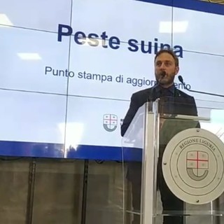 Peste suina, il vicepresidente regionale Piana: "In Liguria dati stabili, dal ministero in arrivo 50 milioni"