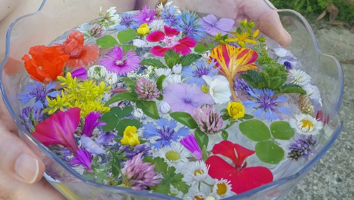 In foto acqua di san Giovanni preparata con erbe e fiori In foto acqua di san Giovanni preparata con erbe e fiori