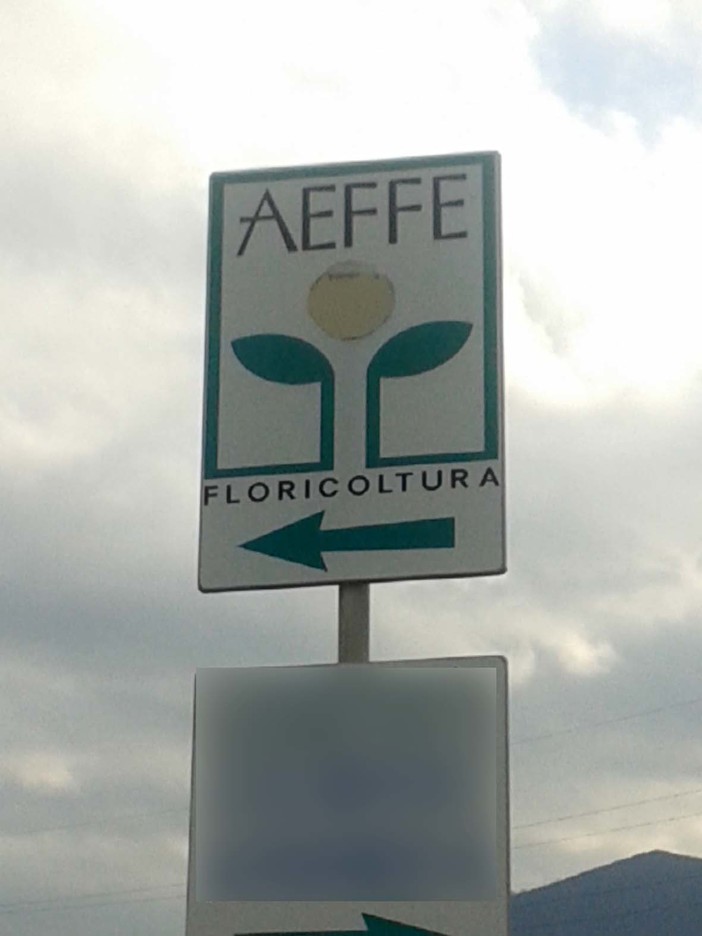 Aeffe Floricoltura, rinvio a giudizio per bancarotta fraudolenta