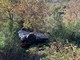 Ceriale, auto capottata lungo la strada Panoramica: intervento dei vigili del fuoco (FOTO)