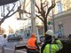 Albenga, al via agli interventi di potatura e sfoltimento alberi in viale Martiri Albenga, al via agli interventi di potatura e sfoltimento alberi in viale Martiri