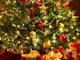 L'appello dell'Enpa: &quot;Per Natale usiamo un albero artificiale&quot;