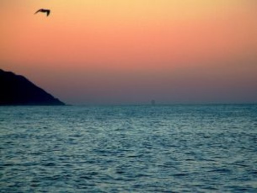 Turismo, l'appello dell'assessore Berrino a imprese liguri:"Sfruttate opportunità di nuovi finanziamenti dal bando del Ministero" Turismo, l'appello dell'assessore Berrino a imprese liguri:"Sfruttate opportunità di nuovi finanziamenti dal bando del Ministero"