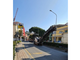 Celle, rifacimento dell'asfalto sull'Aurelia: traffico in tilt