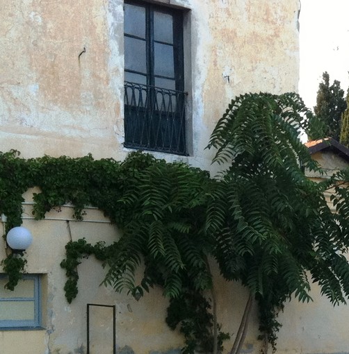 Rosso di Sel: al via questa sera la festa provinciale Rosso di Sel: al via questa sera la festa provinciale