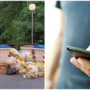 Un savonese crea l’app che avvisa i cittadini sui giorni della raccolta differenziata Un savonese crea l’app che avvisa i cittadini sui giorni della raccolta differenziata
