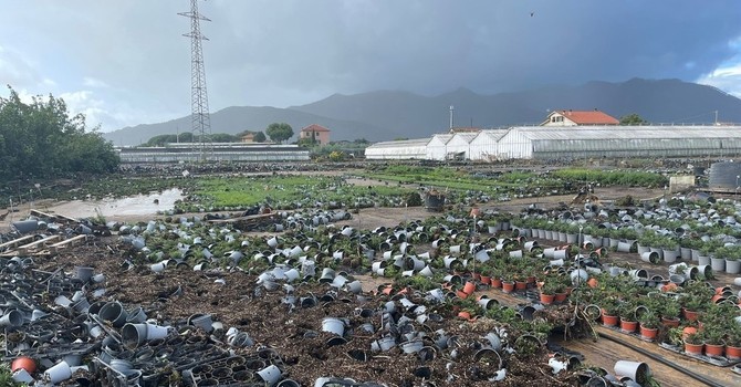 Alluvione 2024, in arrivo 3,4 milioni per le imprese agricole della Piana di Albenga