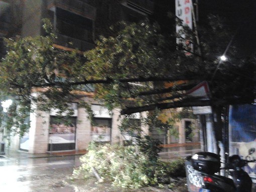 immagine di repertorio