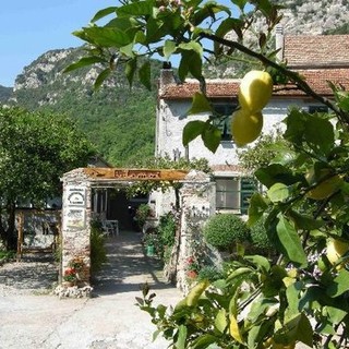 Agriturismi "Solidali" in tutta la Liguria