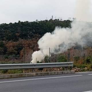 Albenga, gli abbruciamenti tra i problemi più importanti rilevati dalle Guardie Zoofile Gadit