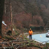 Calizzano, alberi e rami sulle strade causa neve: il Comune invita i proprietari terrieri a intervenire