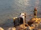 Vado, perde il controllo dell'auto e precipita in mare: due feriti (FOTO e VIDEO)